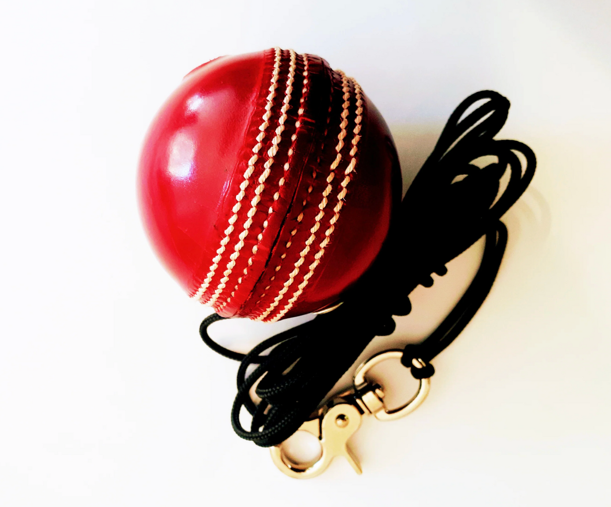 The V Pro Cricket Ball on String - 156g - Red