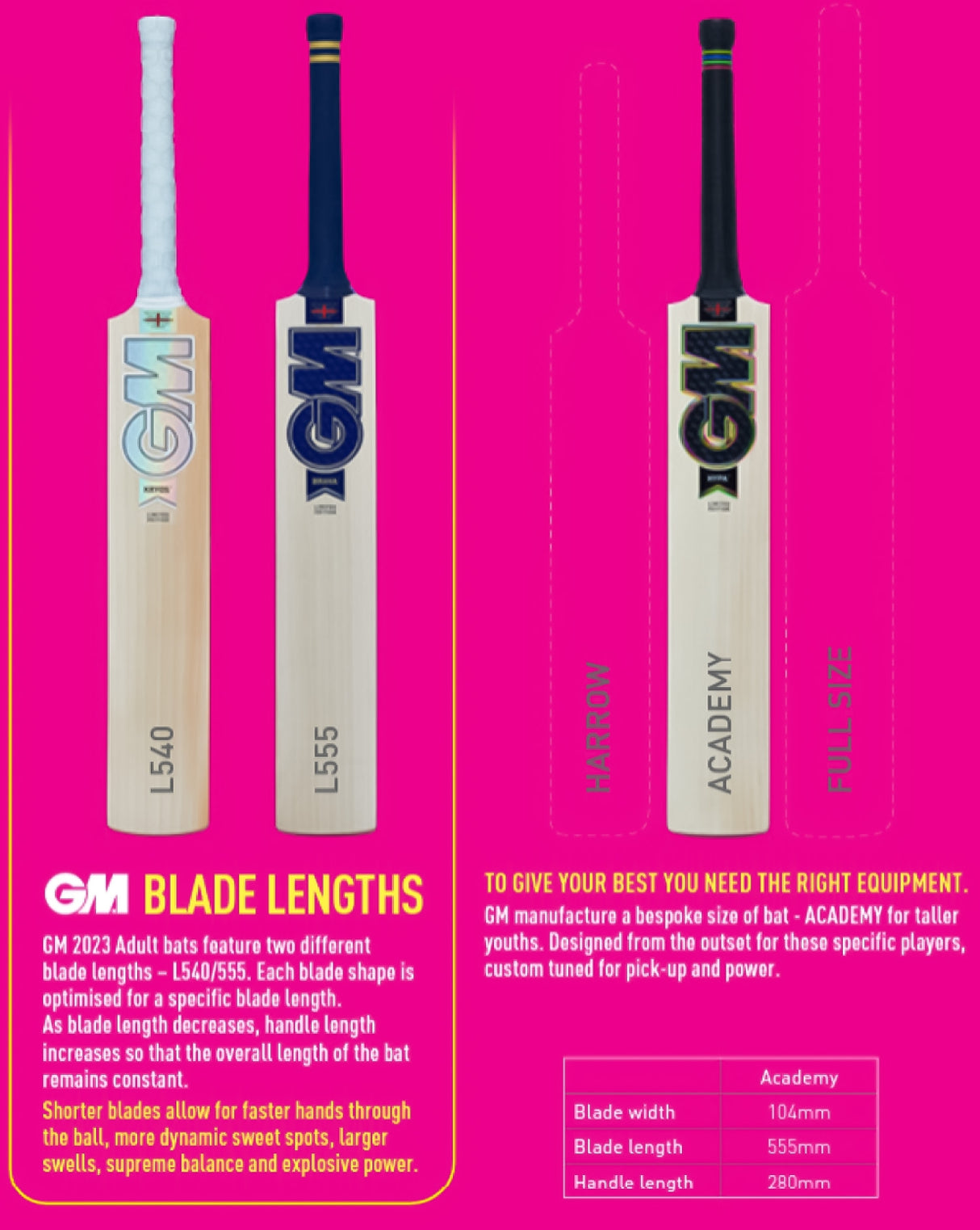 GM Aion DXM Signature English Willow Cricket Bat - SH