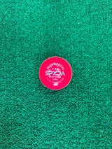 SPYDA County Cricket Ball - 2PC - Pink