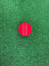 SPYDA County Cricket Ball - 2PC - Pink