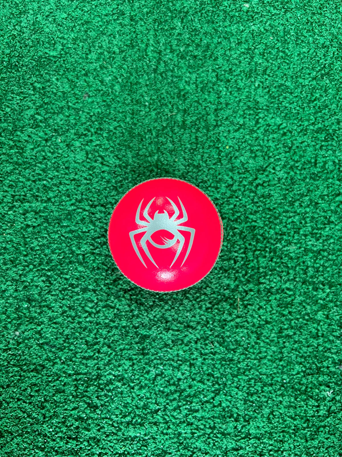 SPYDA County Cricket Ball - 2PC - Pink
