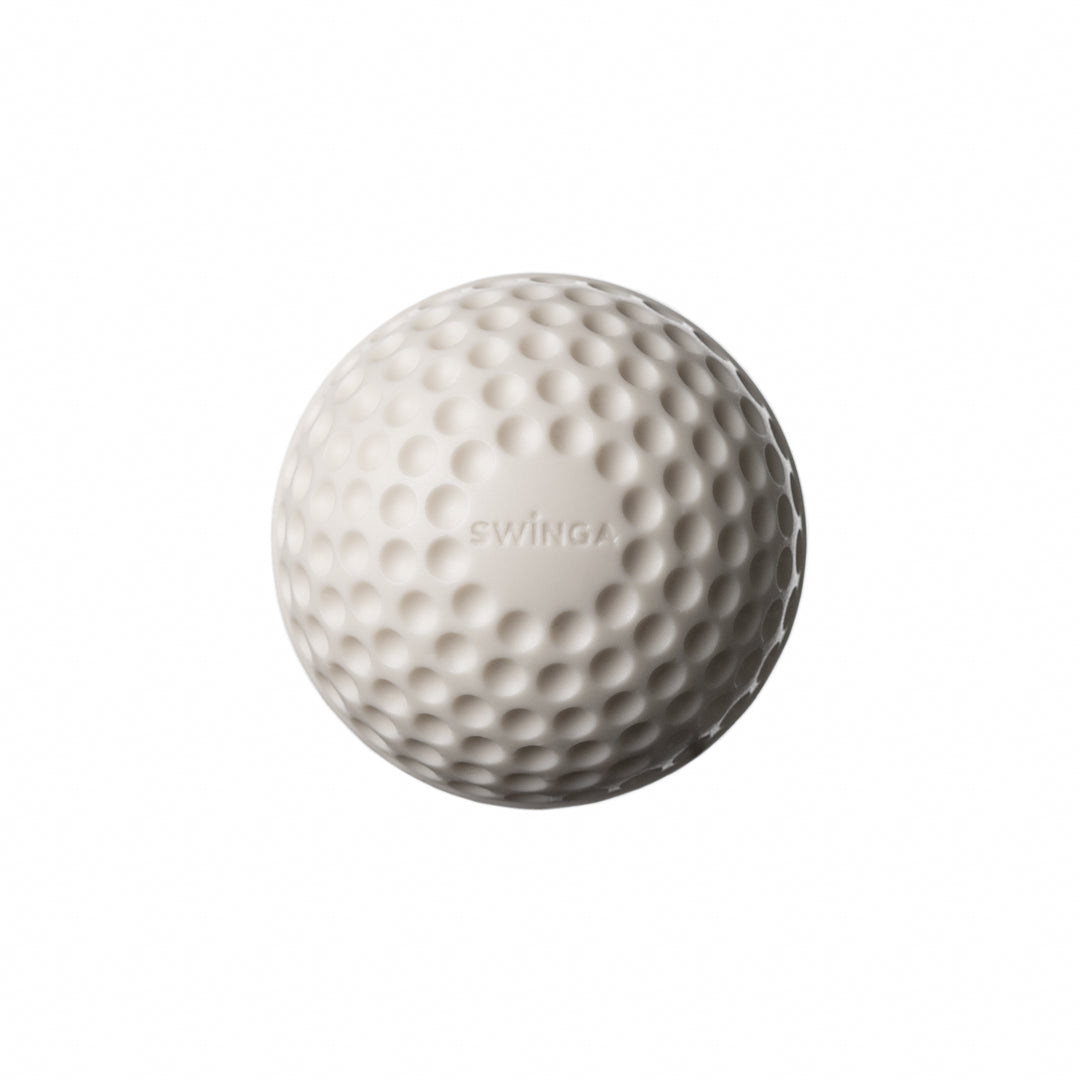 SWINGA Technique Cricket Ball