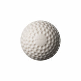 SWINGA Technique Cricket Ball