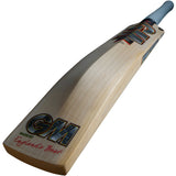 GM Rival DXM 404 English Willow Cricket Bat – 2026/27