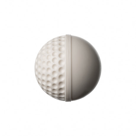 Swinga Technique Ball