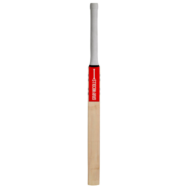 16022 Technique 55 Bat (face).jpg