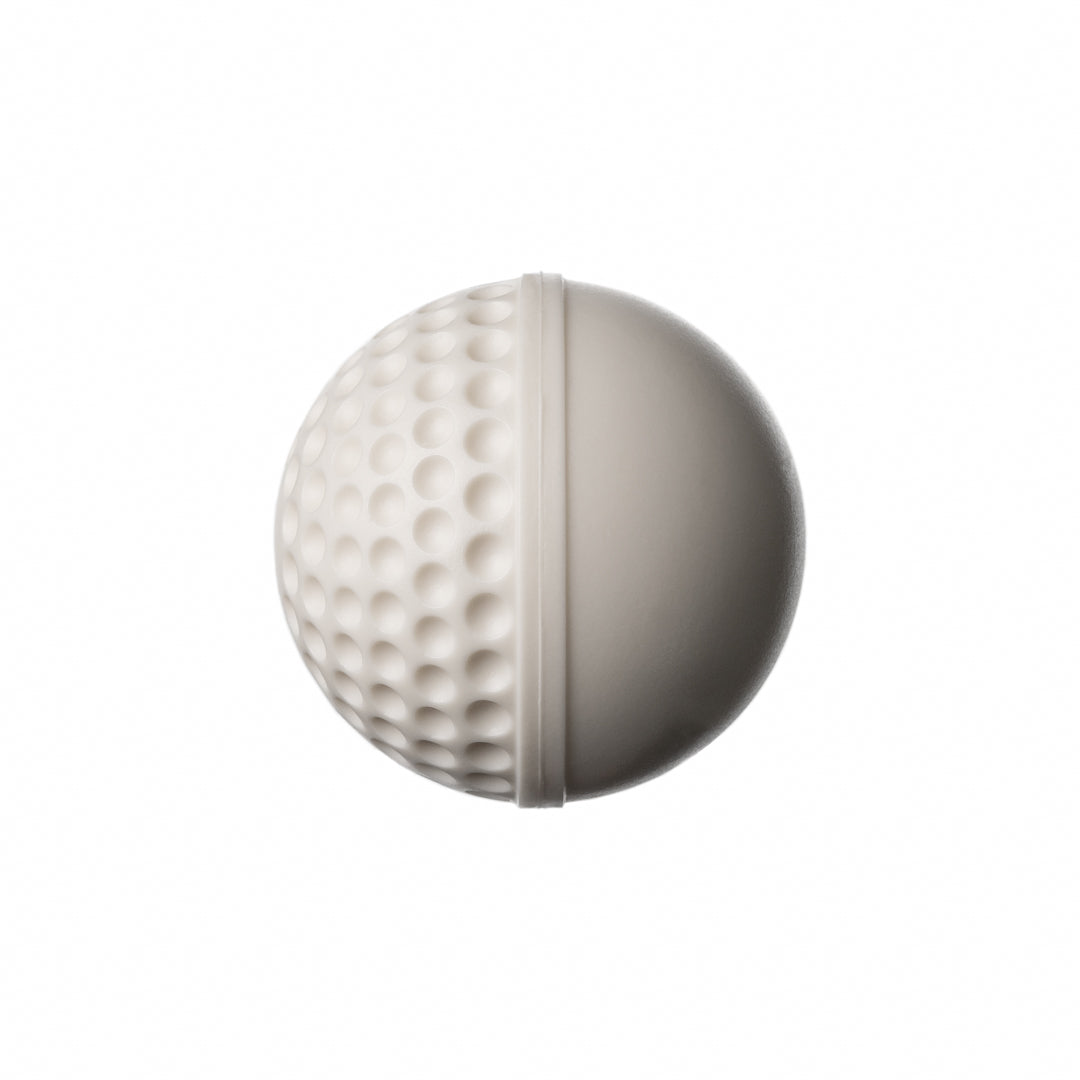 SWINGA Technique Cricket Ball