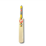 County Lethal Indoor Cricket Bat - SH