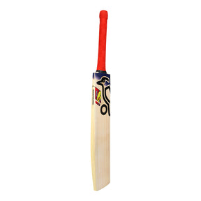 2B15359 - Beast Pro 9.0 Cricket Bat - 1.jpg