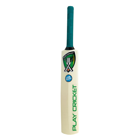 29983 Plastic Bat Sz5 (One Dayer).jpg