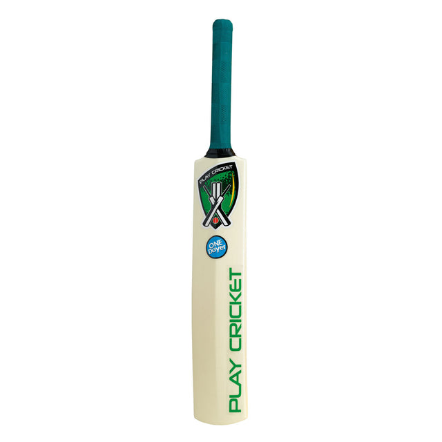 29983 Plastic Bat Sz5 (One Dayer).jpg