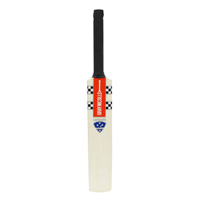 11025 Labelled Mini Bat (face).jpg