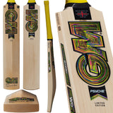 GM Psyche DXM 404 English Willow Cricket Bat