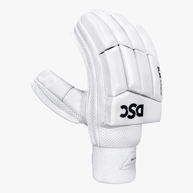 DSC-2025-Batting-Gloves-BLAK-Junior-Web-1.jpg