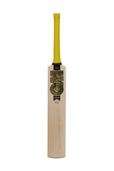 GM Psyche DXM 404 English Willow Cricket Bat