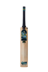 GM Aion DXM Signature English Willow Cricket Bat - SH