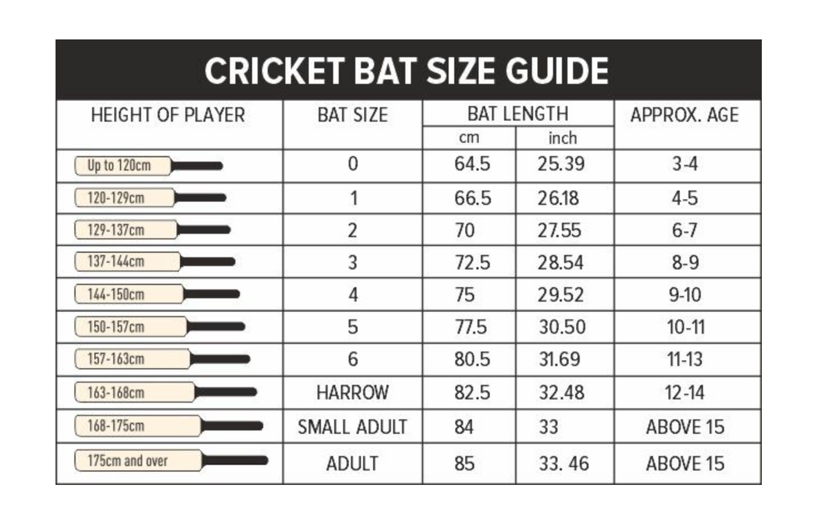 DSC BLAK 66 English Willow Cricket Bat - SH - 26/27