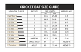 DSC BLAK 66 English Willow Cricket Bat - SH - 26/27