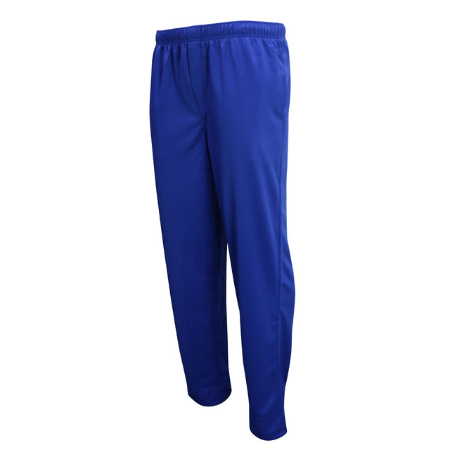 224170 Pro Trousers (royal).jpg