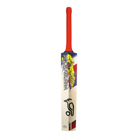 2A15353 - Beast Pro 2.0 Cricket Bat - 5.jpg