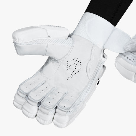 DSC-2025-Batting-Gloves-BLAK-55-Web-4.jpg