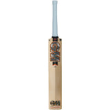 GM Rival DXM 404 English Willow Cricket Bat – 2026/27