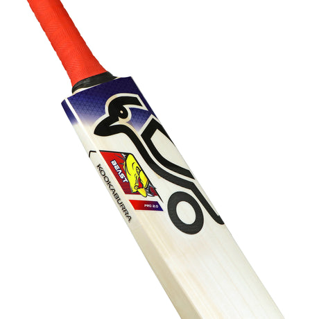 2A15353 - Beast Pro 2.0 Cricket Bat - 9.jpg