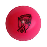 Gray Nicolls - Poly Soft Cricket Ball