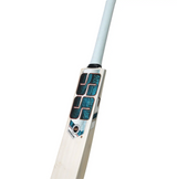 SS Premium English Willow Cricket Bat – SH - 26/27