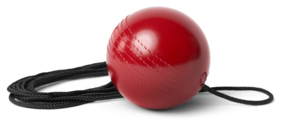SKLZ Cricket BatBall Trainer