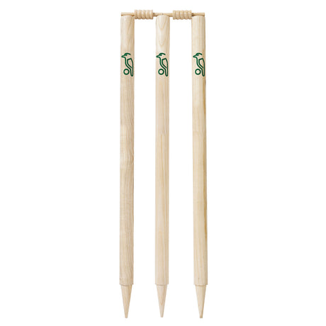 3T160125 - Ash Stumps - Front.jpg