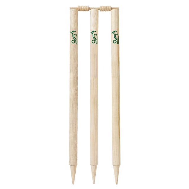 3T160125 - Ash Stumps - Front.jpg