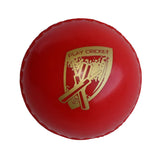 Gray Nicolls - Poly Soft Cricket Ball
