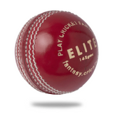 Gray Nicolls Crest Elite 2-Piece Cricket Ball - Red - 142g