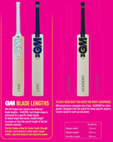 GM Aion DXM Signature English Willow Cricket Bat - SH
