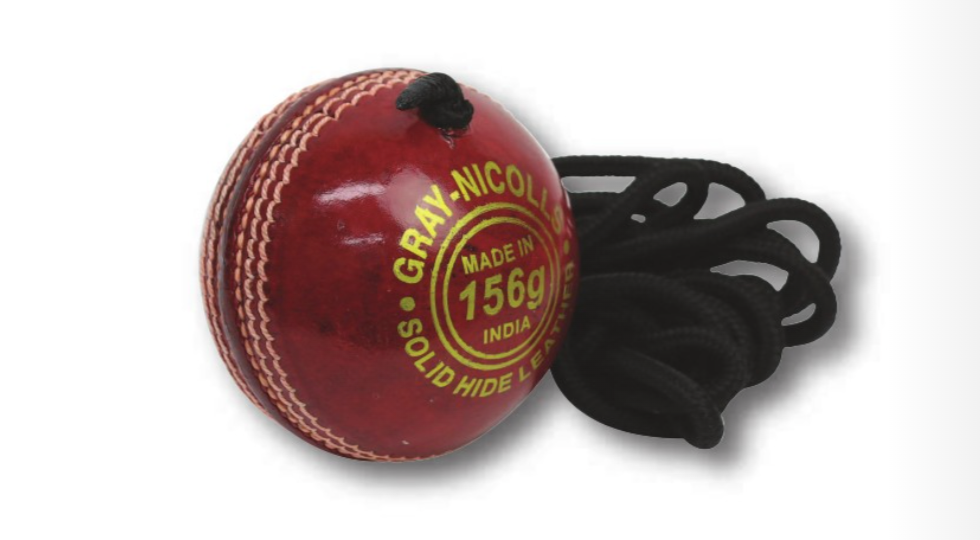 Gray Nicolls Leather Cricket Batting Master