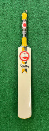 County Lethal Indoor Cricket Bat - SH