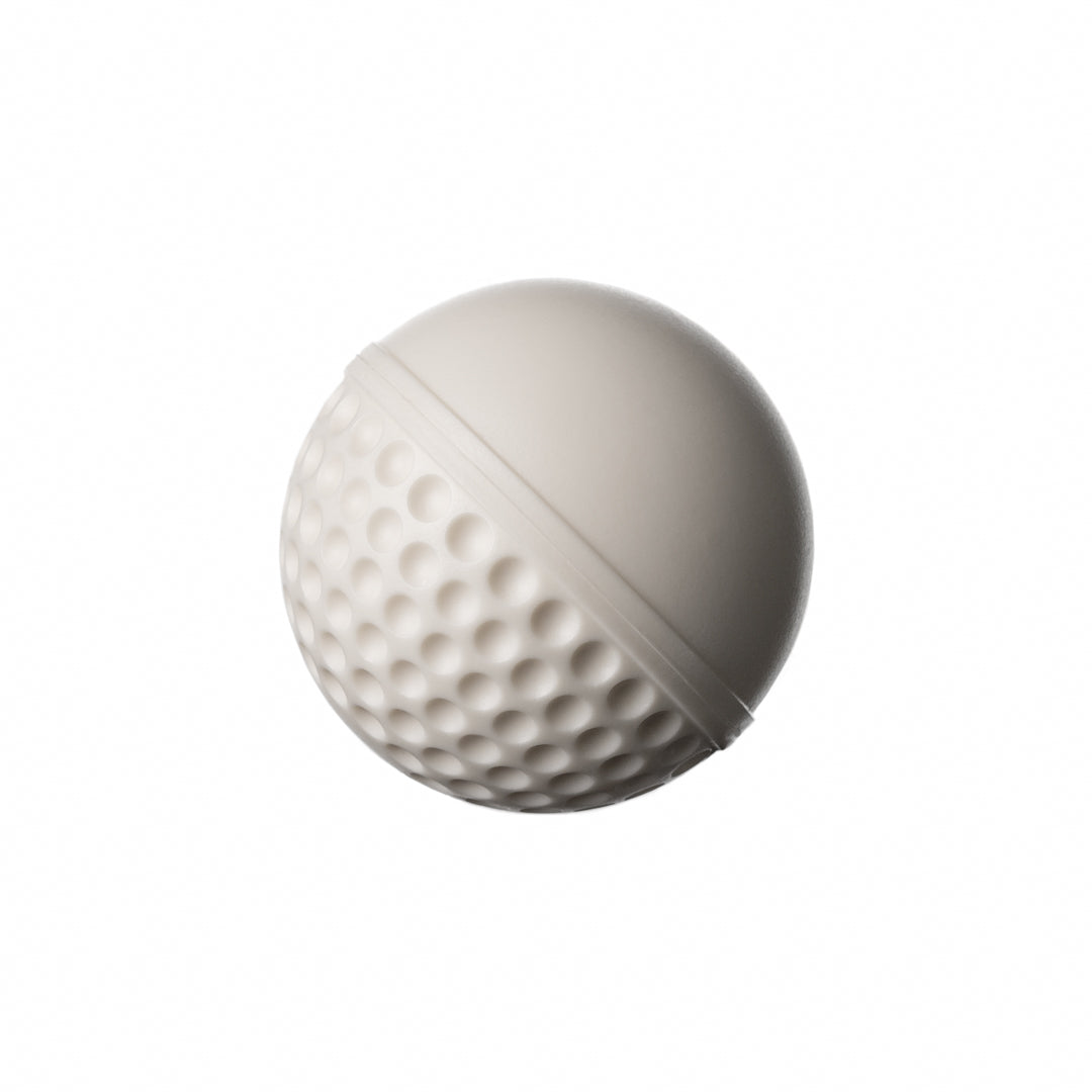 SWINGA Technique Cricket Ball