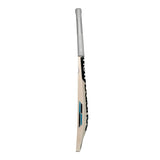 New Balance DC 600 English Willow Cricket Bat – SH