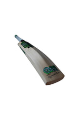 GM Verva DXM English Willow Cricket Bat - SH