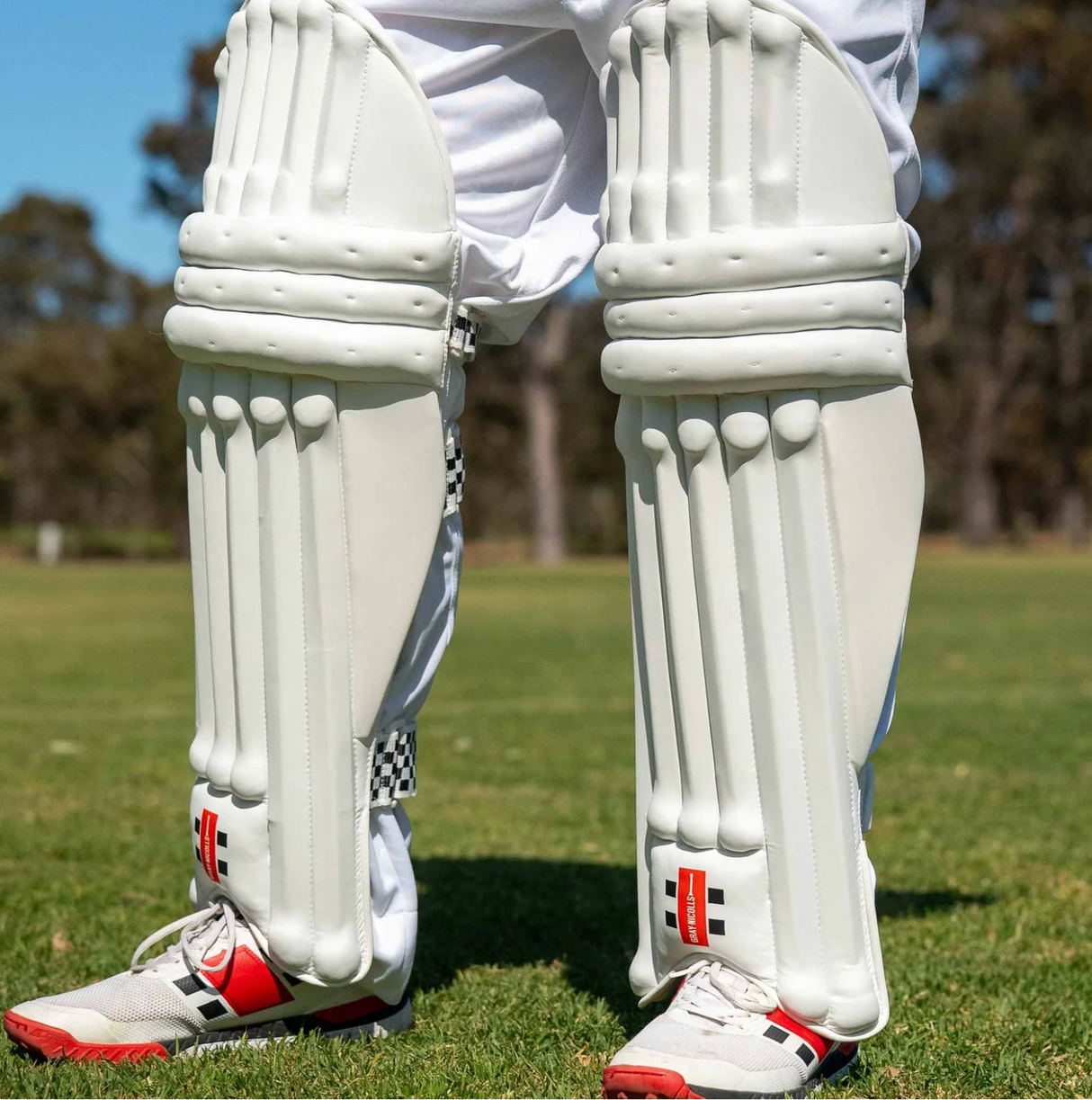 Gray Nicolls Prestige Cricket Batting Leg Guards  - Adult - 26/27