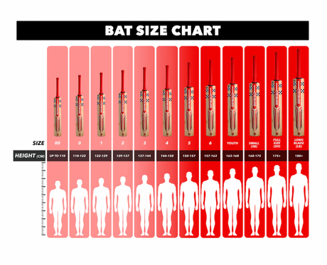 Gray Nicolls Steel English Willow Cricket Bat – SH - 26/27