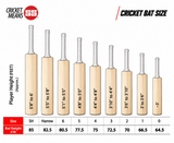 SS TON Silver Edition English Willow Cricket Bat – SH - 26/27