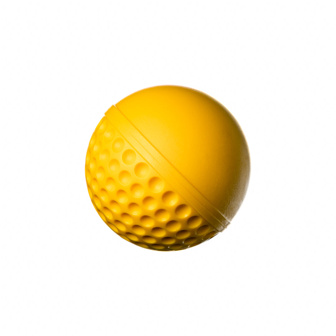 SWINGA Technique Cricket Ball