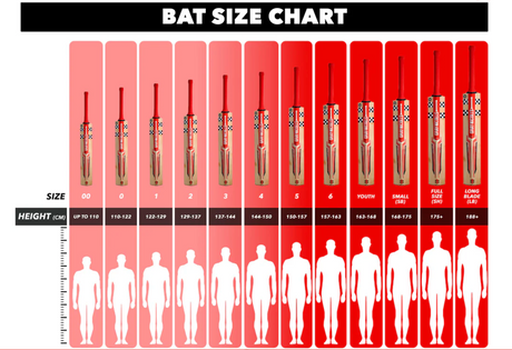 Gray Nicolls Nova 3.0 2200 English Willow Cricket Bat - Senior
