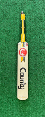 County Lethal Indoor Cricket Bat - SH