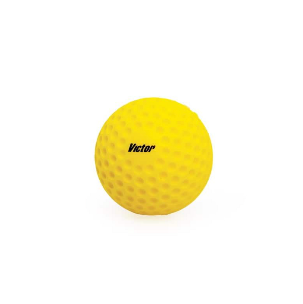 Victor Cricket Batting Mate - Automatic Cricket Feed Machine
