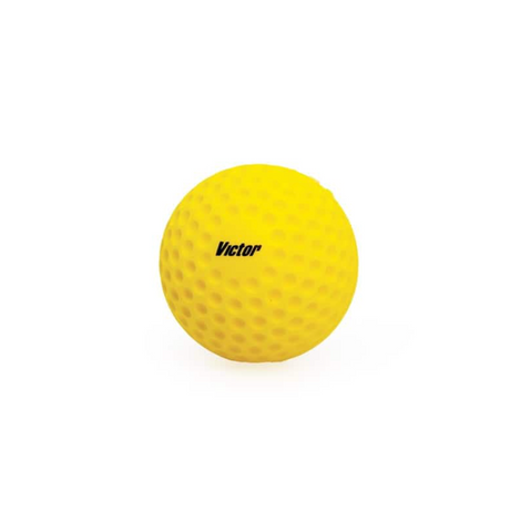 Victor Cricket Batting Mate - Automatic Cricket Feed Machine