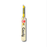 County Lethal Indoor Cricket Bat - SH
