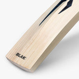 DSC BLAK 66 English Willow Cricket Bat - SH - 26/27